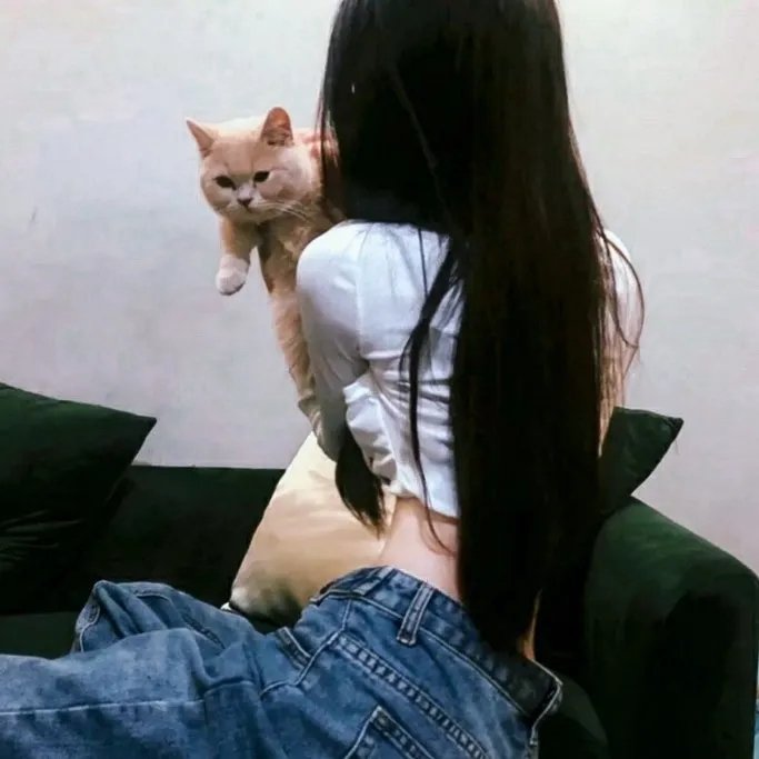 小谢尔顿第六季